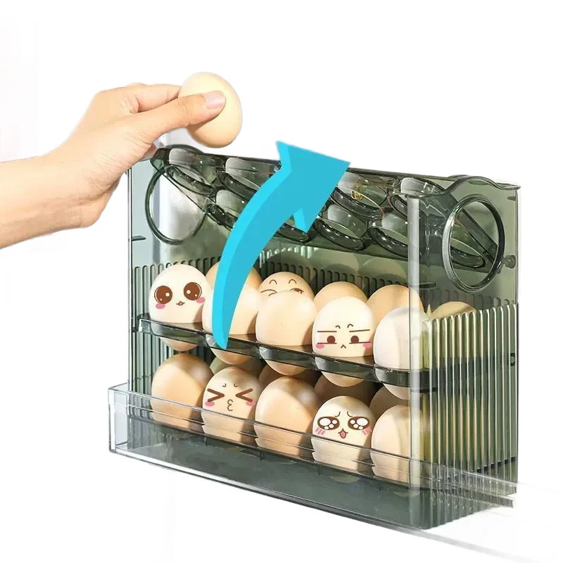 Egg Storage Box 5