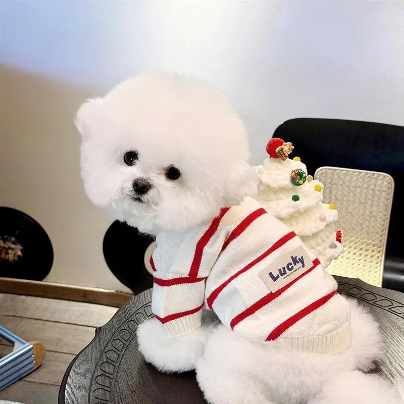 스트라이프 개 가디건 스웨터 니트 코트, 럭셔리 강아지 옷, 치와와 코스튬 소녀 개 복장, 비숑 의류, 강아지 재킷