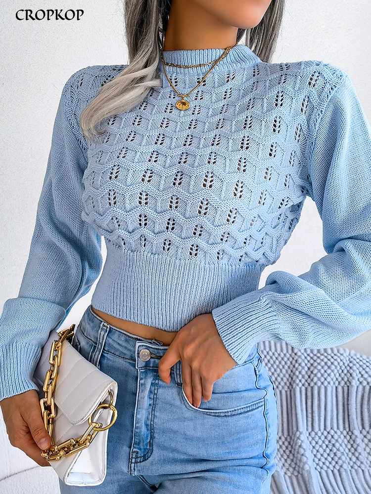 Crop Top Knitted Sweater 1