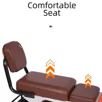 Scooter électrique tendance pour 2 personnes avec cage pour animaux/handcuffs pliables, tricycle électrique compact 600W pour famille, adultes, femmes, personnes âgées 6