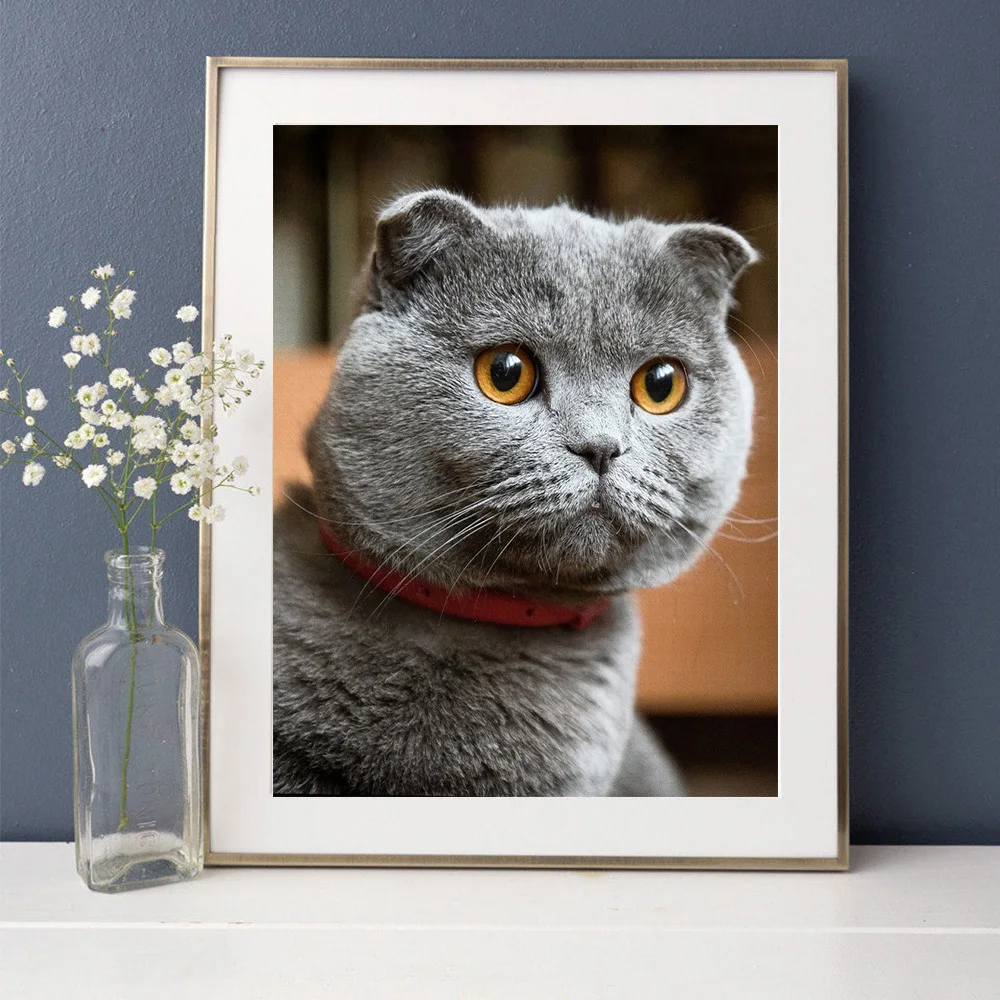 ダイヤモンドペインティングキット 猫と花の風景 90㎝×65cm DAC Amazon | ダイヤモンドペインティングキット ダイヤモンドアート