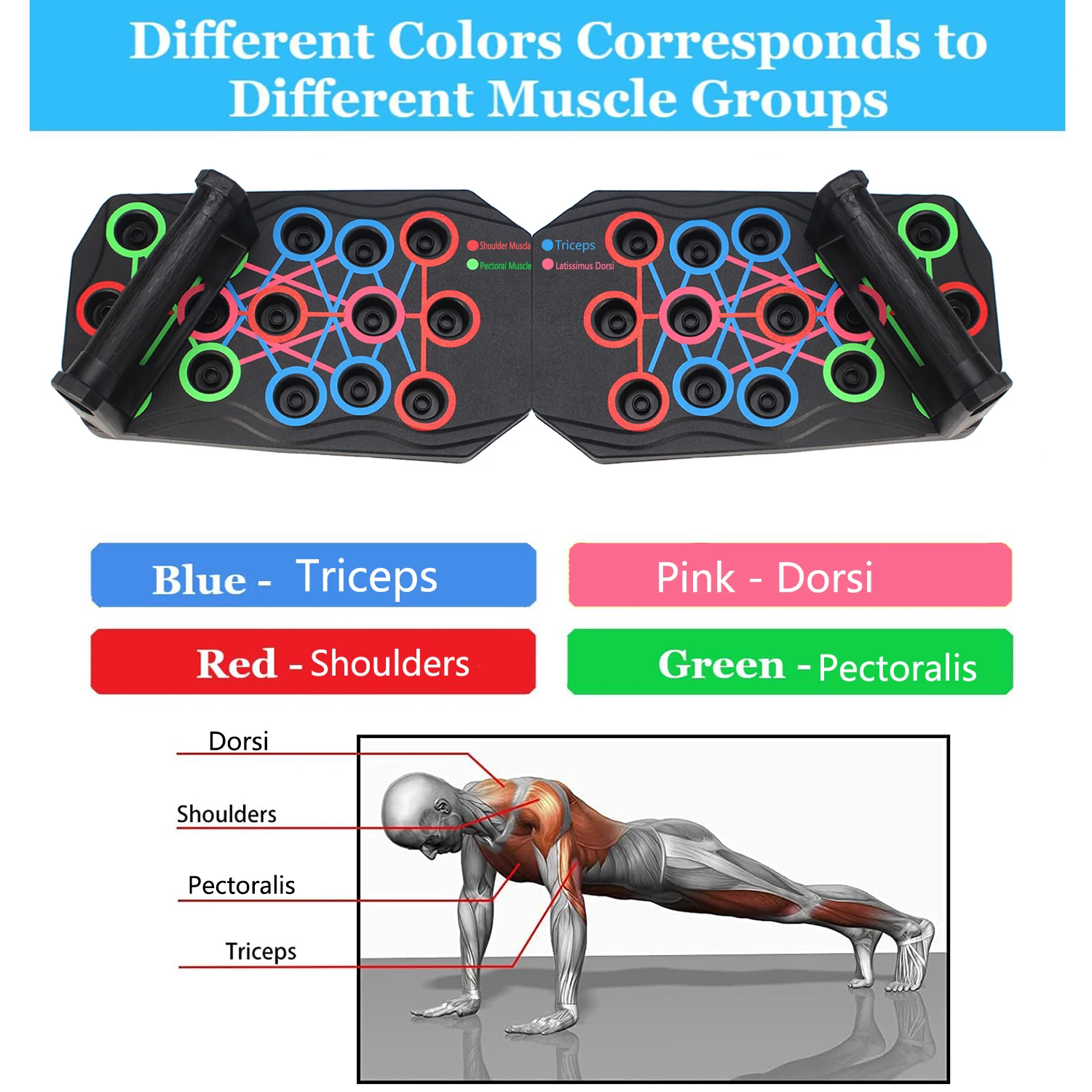 Push Up Board Support Home Fitness Equipment Chest Muscle Training Multifunctional Sit Up Training Board Small Fitness Equipment