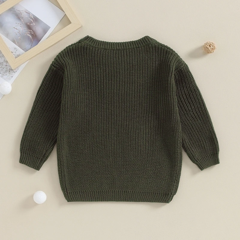 1-5세 남아 가을 겨울 점퍼 스웨터 긴팔 레터 자수  남아 니트웨어 풀오버 상의