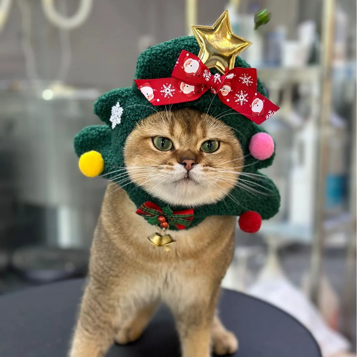Chapeau de Noël Arbre de Noël | Bouledogue Français | Chat | Luxe - 2025 - Vêtement et accessoires pour chiens - Doglovedesign