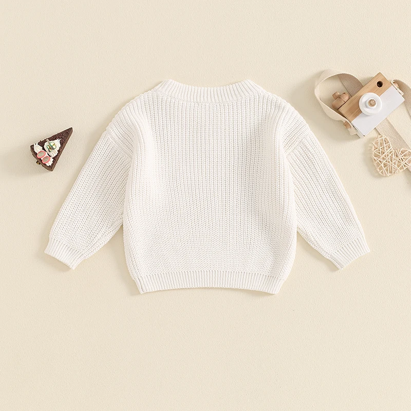 Little Boy Knit Sweater Letter Star Embroidery Crew Neck Long Sleeve Casual Pullover Tops for Fall