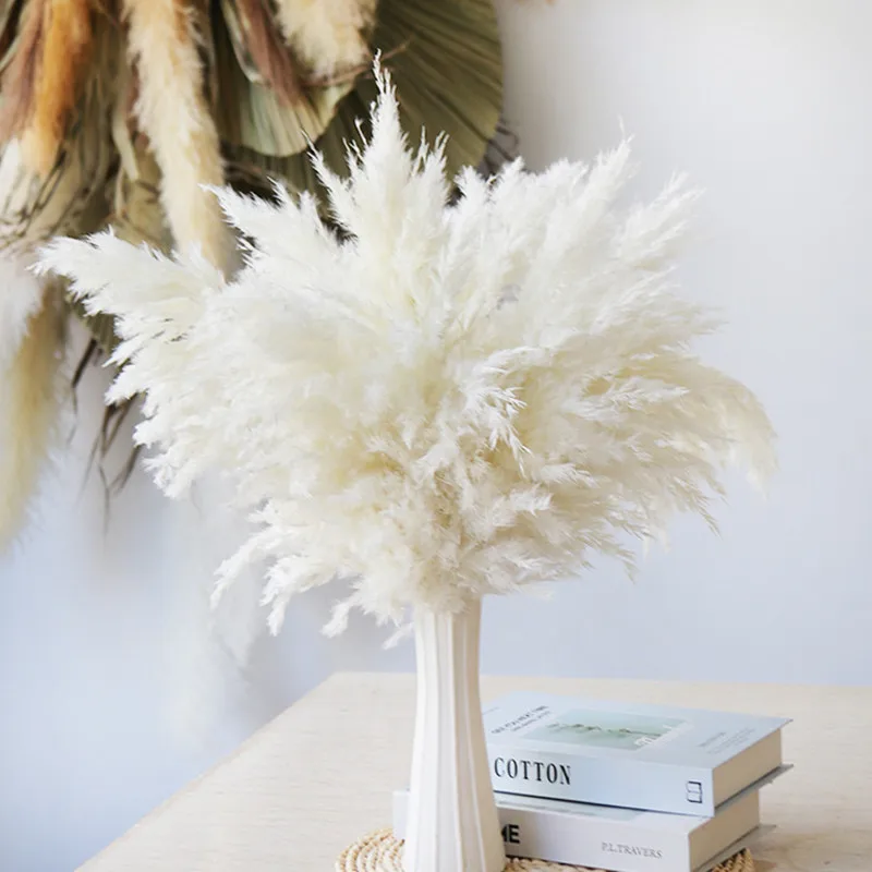 Small Reed Immortal Dried Flower Bouquet Ornaments Pampas Grass Home