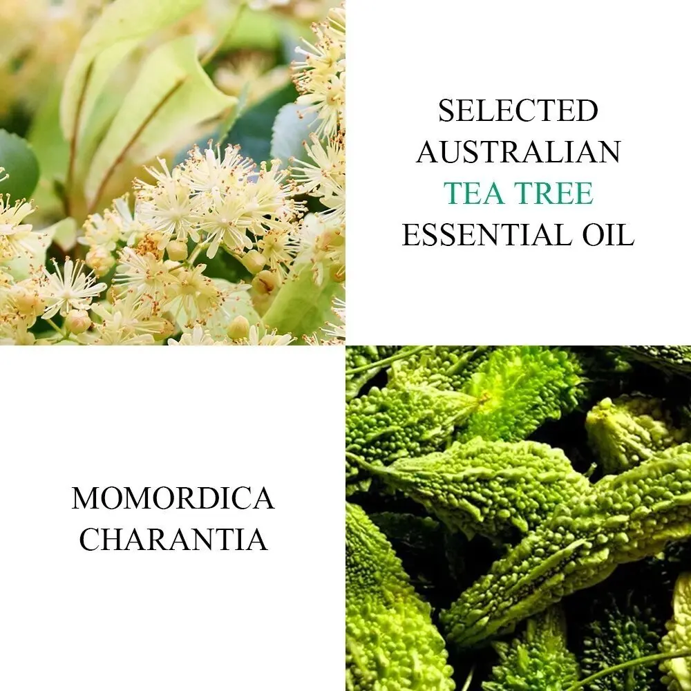 BREYLEE Tea Tree Acne Gel Soothes Redness Acne Soothing Salicylic Acid Anti-inflammatory Scars Facial Treatment 15g