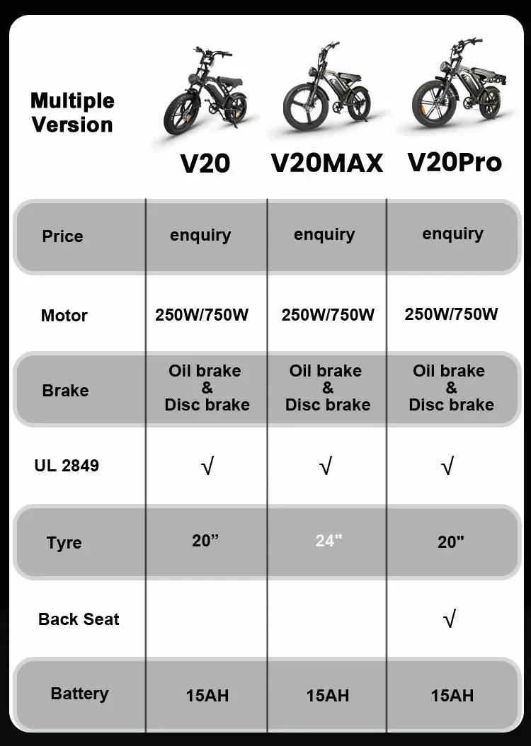 Electric Bike with Rear Seat Rack
