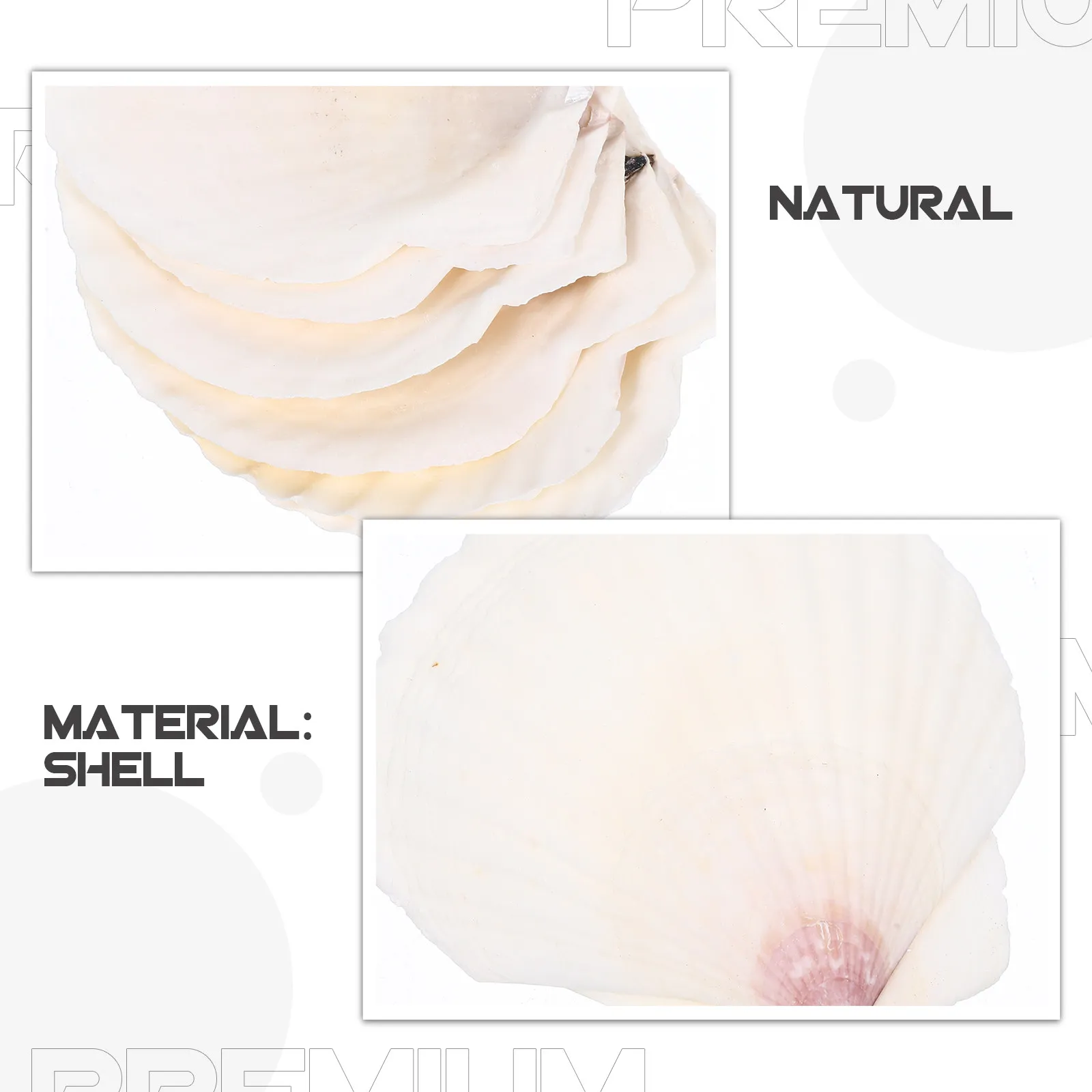 10Pcs DIY 쉘 키트 공예용 천연 가리비 장식품 바다 조개 장식 어항 DIY 장식품 웨딩 홈 장식