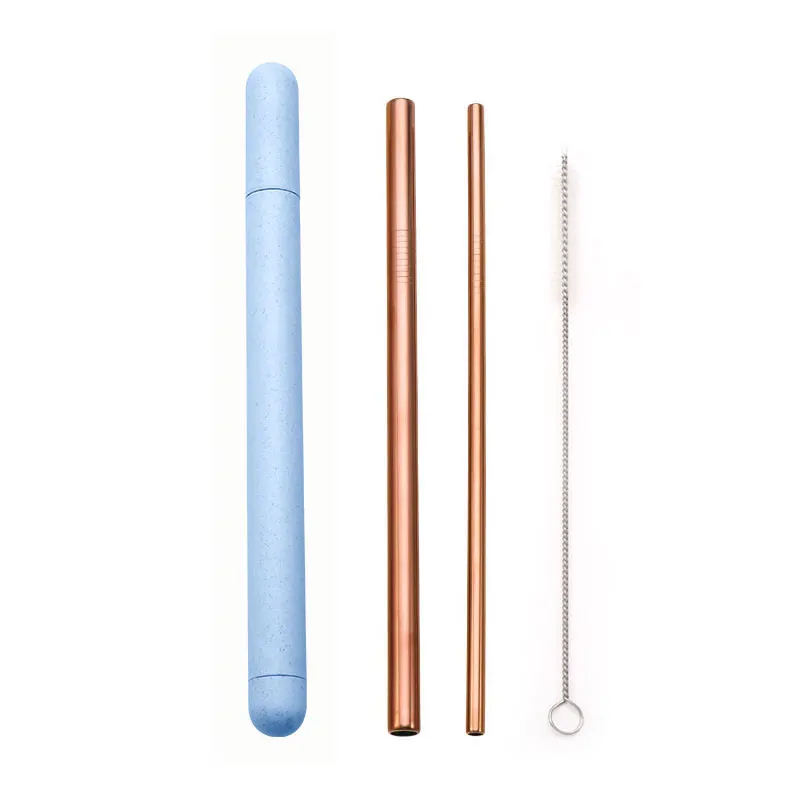 Premium Stainless Steel Reusable Straw Set with Cleaner and Portable Case