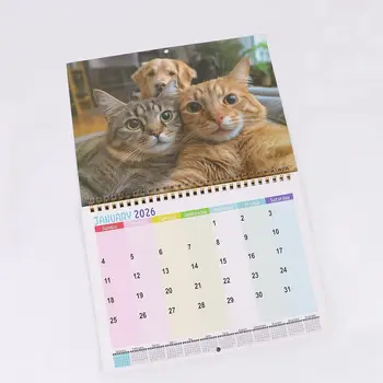 Calendario da parete 2026 Calendari mensili dal design appendibile 2026 Calendario con gatto affascinante Layout da 12 mesi Calendario mensile con gatto divertente