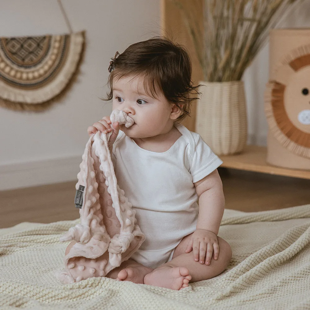 Manta de bebé para recién nacido, toalla de apaciguar, 1 unidad, Doudou  manta de seguridad de terciopelo, suave, para el rostro infantil, puede  colgar el chupete - AliExpress