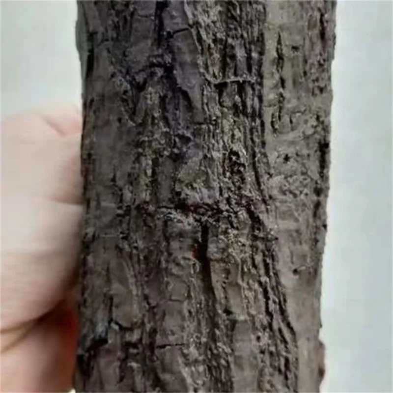 Fake Tree Pressing Mold Cement Making Garden Simulation Imitation Stake Stump Bark Christmas Printing Halloween
