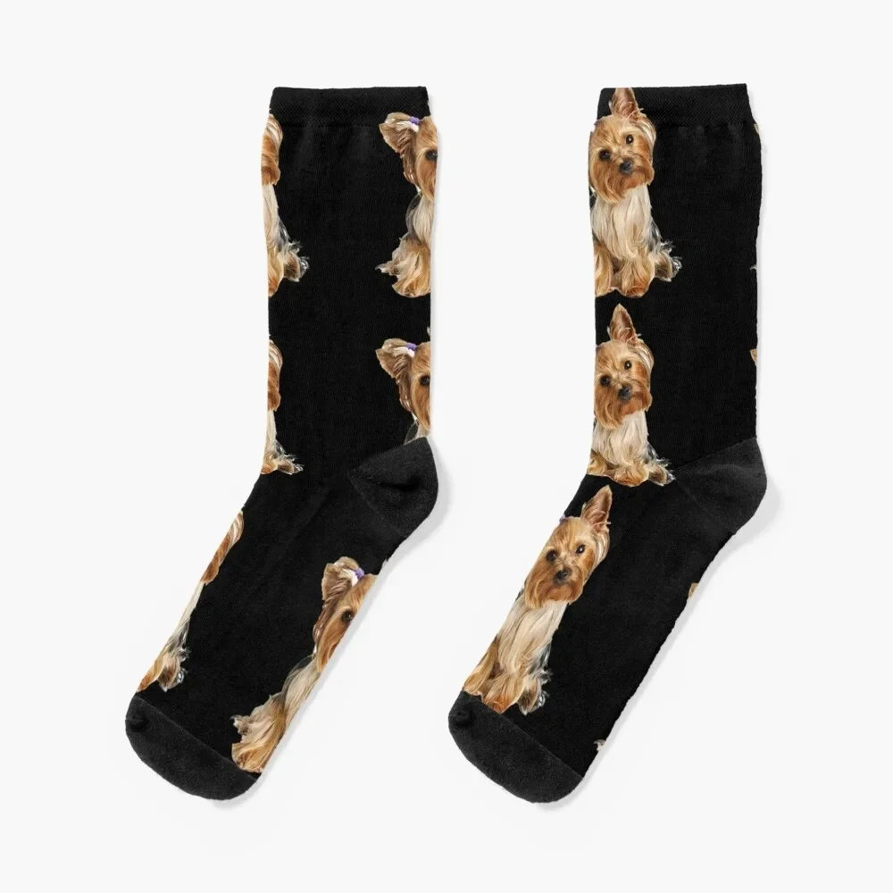 

Yorkshire Terrier dog pets dogs cute sweet Socks loose Stockings hockey Ladies Socks Men's