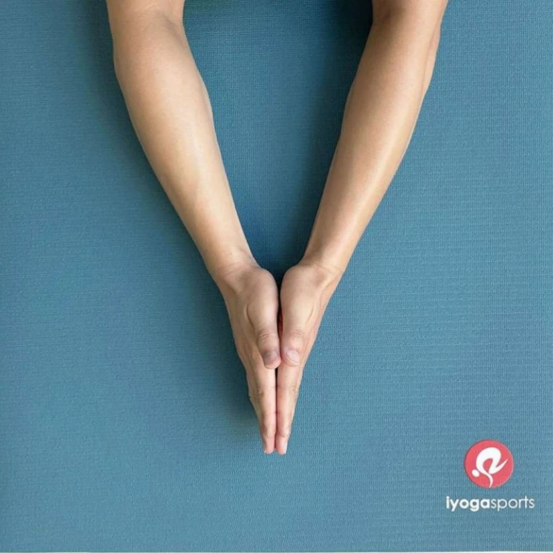 181*61*0.5cm Polymer PER Yoga Mat Non-Slip Fitness Mat High-Density Durable Yoga