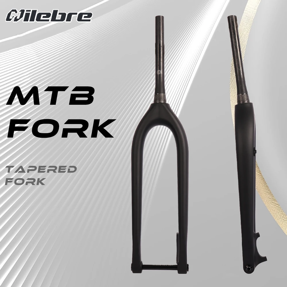 bxt carbon fork review