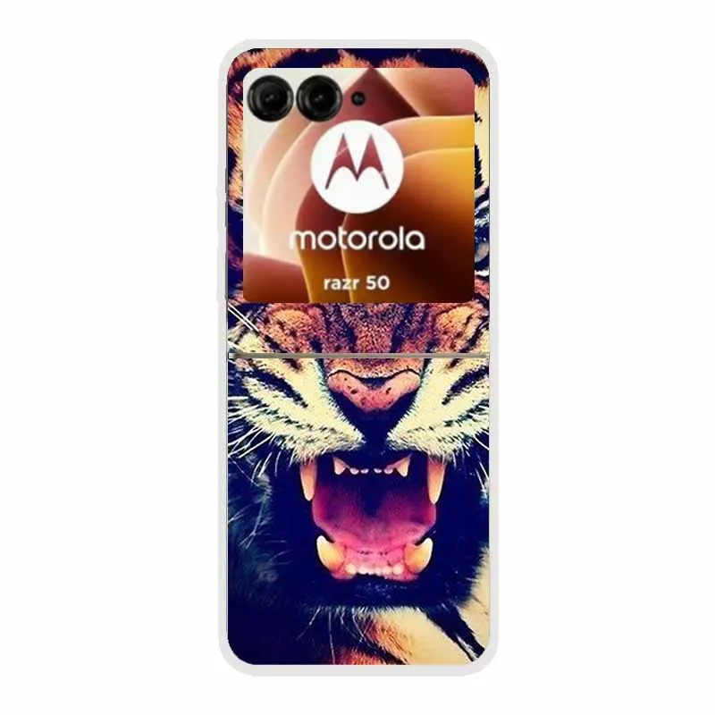 Cartoon Design Transparent Hard Plastic Back Cover Case