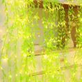 Willow leaf