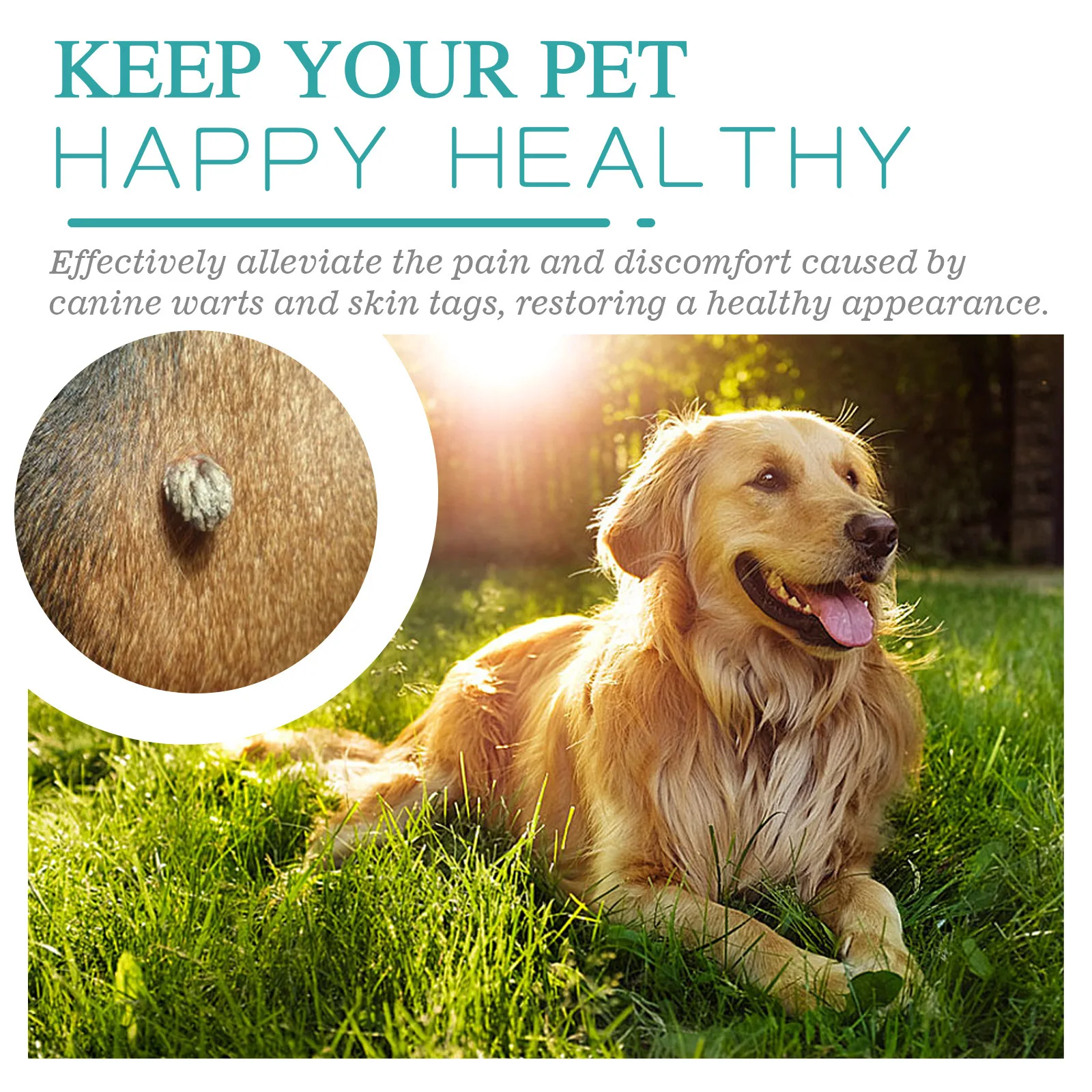 Dog Wart Remover Pet Skin Tag Wart Removal Painless Treatment