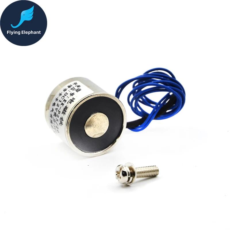 P25/20 Holding Electric Magnet Lifting 5KG Solenoid Electromagnet DC 6V 12V  24V Clearance Price - AliExpress