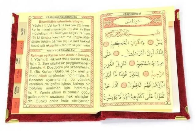 Рисунок 2 - Экономичная книга вельветовое покрытие