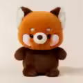 Little Raccoon