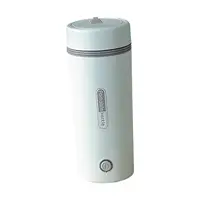 Bouilloire chauffante électrique portable, bouilloire à thé, bouilloire à eau chaude pour thé, lait, boisson, protection contre les brûlures, arrêt automatique, voyage, 350ml 4