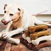 Unbreakable Dog Chew Bone Toy Natural Rubber Puppy Teething Relief Certified Non-Toxic Dental Cleaning Small/Medium/Large Dogs 1
