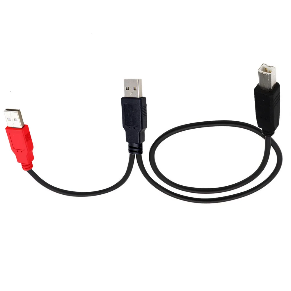 cablecc Dual USB 2.0 Male to Standard B Male Y Cable 80cm for Printer &  Scanner & External Hard Disk Drive