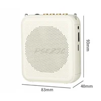 Portable Bee Amplifier Bluetooth USB Drive Teacher Mall Tour Guide Loudspeaker Player 2