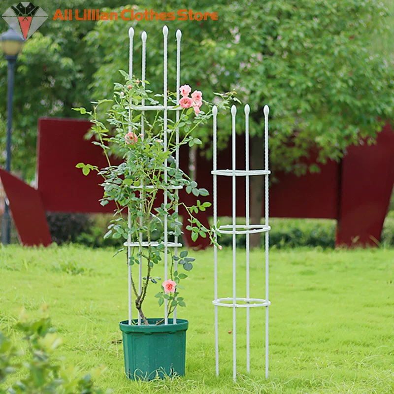 Tomato Plant Support Cages Set 1