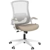 High Back Mesh Chair Adjustable Height and Ergonomic Design Home Office Computer Desk Chair 6