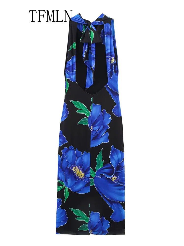 TFMLN Elegant Women Printed Halter Long Dress 2025 Summer Sleeveless Slim Backless Tulle Thin Party Dress Fashion Causal Dress