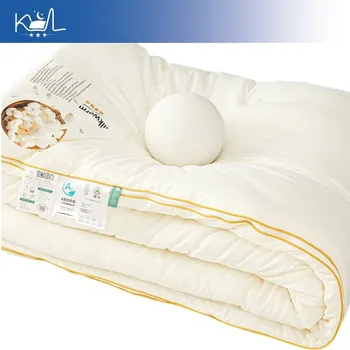 Cotton Mulberry Silk Comforter 1