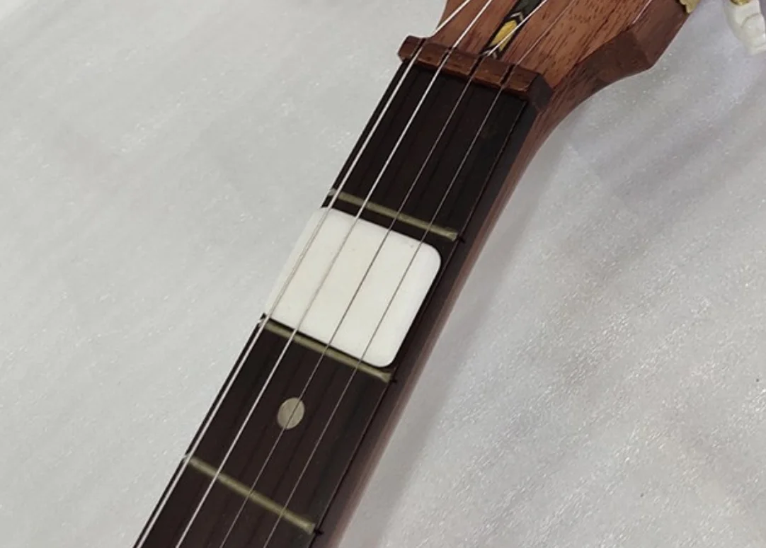 Qinqin semitone Twelve equal law 19 grades Chinese national plucked string instrument
