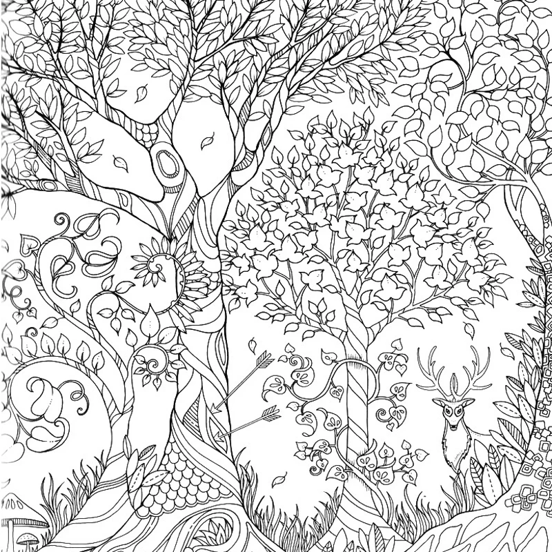 Compre Floresta encantada jardim secreto livro para colorir crianças adulto  aliviar o estresse matar tempo pintura desenho ferramenta de arte