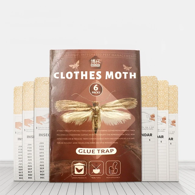 Clothes Moth Pheromone Trap (webbing Clothes Moth: 5 Pheromone Traps)