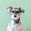KAJIPET Dropshipping Store
