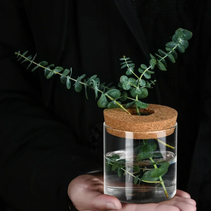 Creative Mini Hydroponic Plants Flower Pot Transparent Glass Vase Home Decor