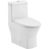 24" Length One Piece Toilet Dual Flush 1.1/1.6 GPF with Side Holes Glossy White Toilets Bathroom Items Folding Cleaning Parts 1