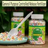 Green Plant Flowers Fruits Vegetables General Controlled Release Fertilizer Granular Fertilizer Green Plant Fertilizer 1