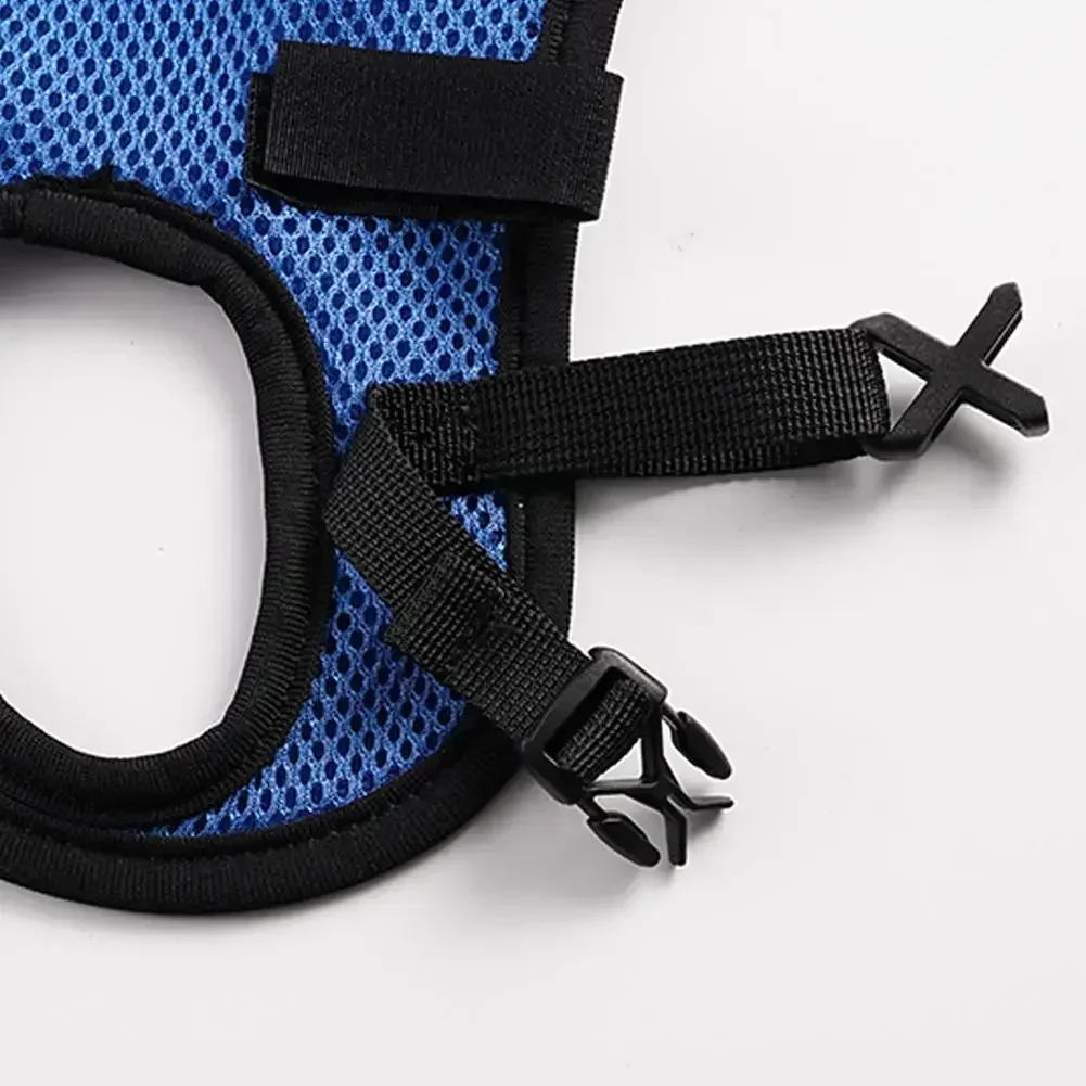 Sedia A Rotelle Per Animali Domestici Strumenti Per Disabili Trolley Per Cani Gambe Per Arti Leggeri Mobilità I2T8 Riabilitazione Per Gambe A Piedi Re