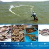 1PC Trap Fishing Net Fishnet Floating Throwing Fishing Explosion Hook Mesh Trap Net Supplies Fishing Equipment red de pesca 6
