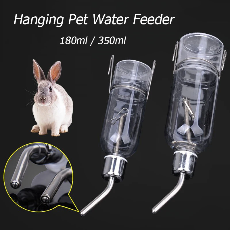 Drinking Fountains Rabbits Small Animals Water Bottle Small Animal