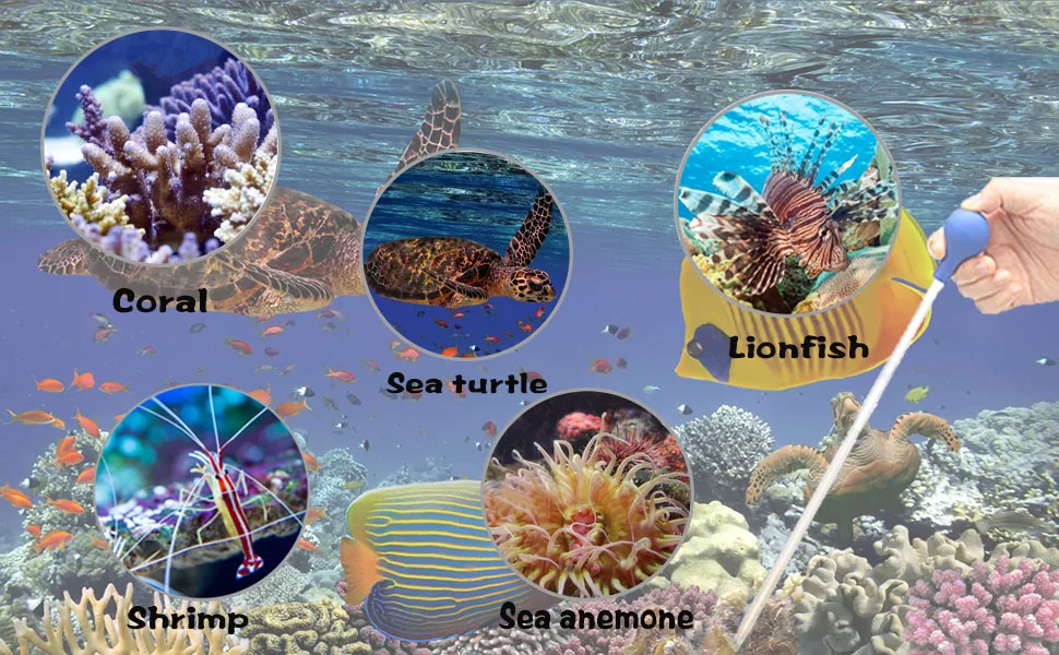 55cm Coral Feeder SPS HPS Feeder Long Acrylic Aquarium Coral Feeder Syringe Tube for Reef/Anemones/Eels/Lionfish Fertilizer