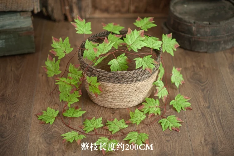 Newborn Photography Prop Basket Stuffer Simulated Green Plants Accessorie Christmas Daisy Rattan Strip Vine Studio Shooting Flow cheap newborn photography near me