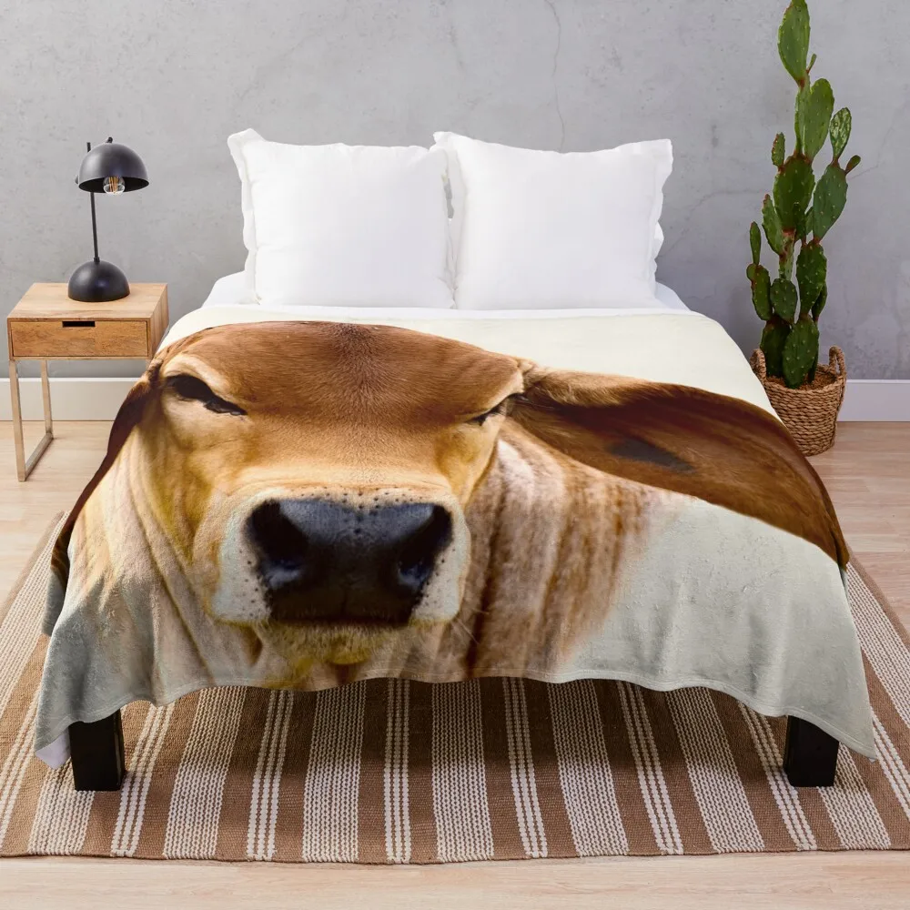 

BRAHMAN CALF, PORTRAIT Throw Blanket Quilt decorative manga Blankets