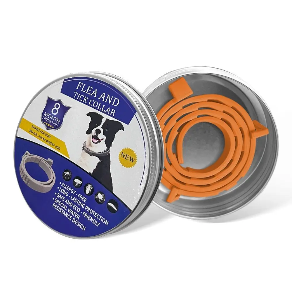 Dog Orange