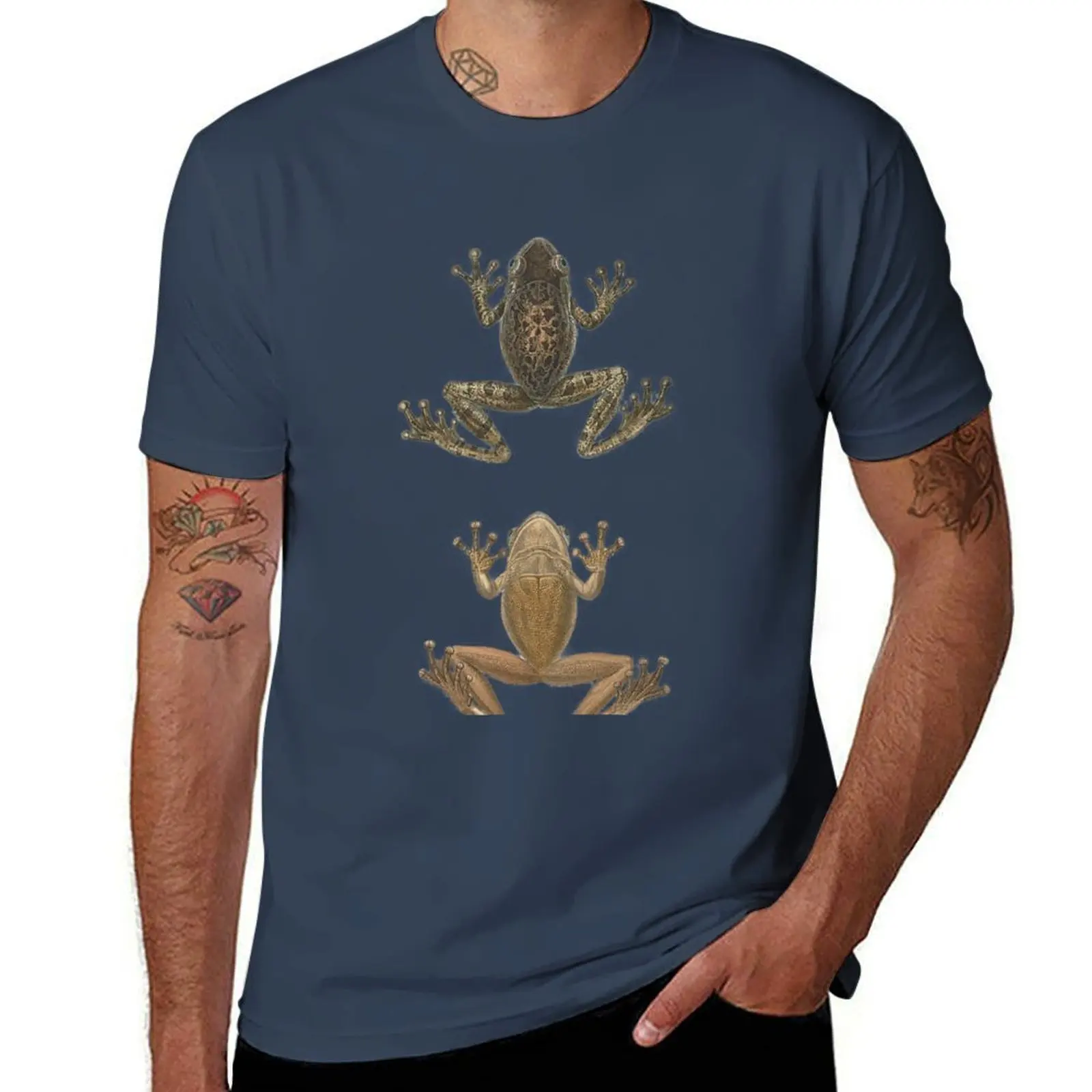

Cuban Tree Frog Vintage Antique Scientific Drawing T-shirt blacks funnys t shirt for men