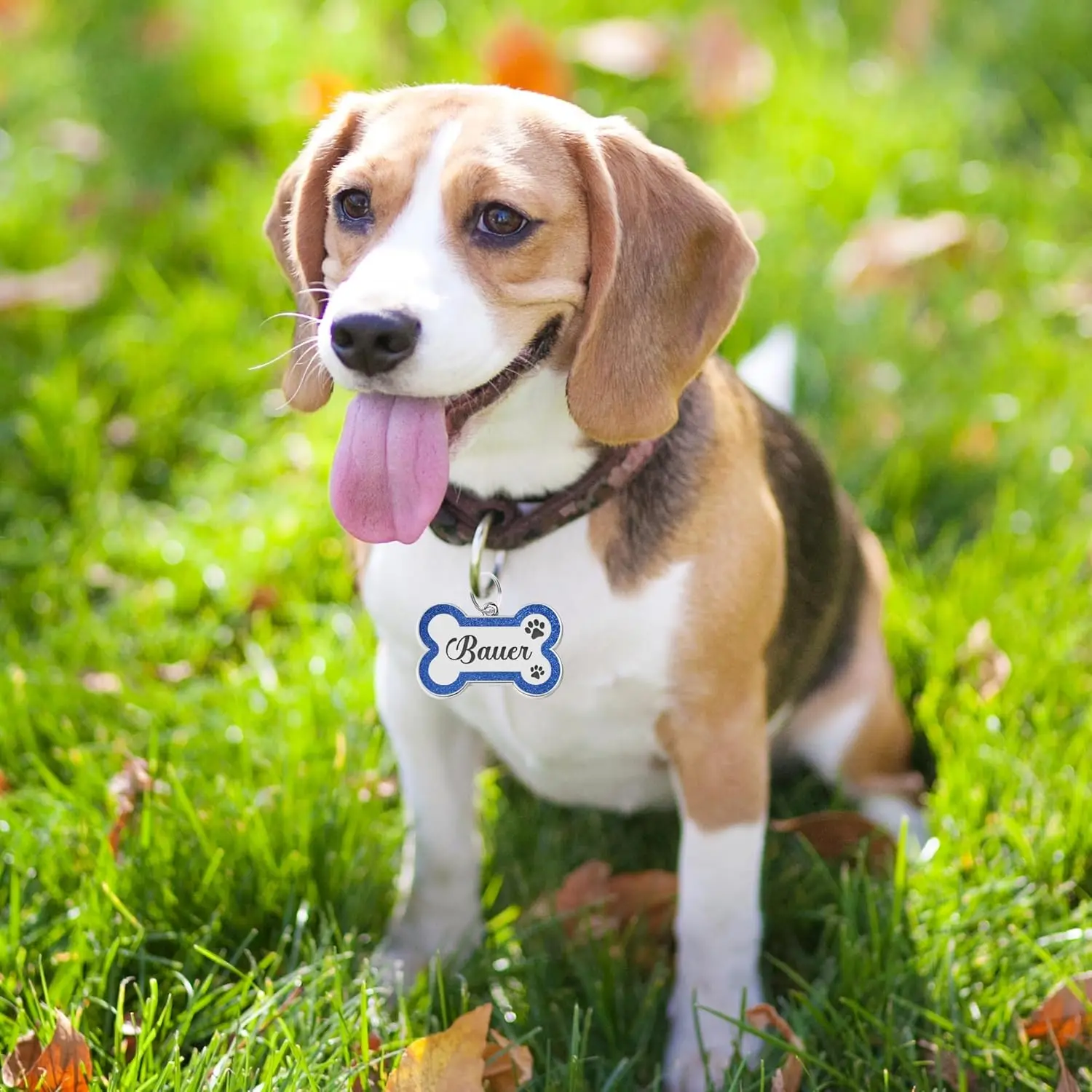 Personalized Pet Dog Name Tag – Custom Engraved ID Tag with Any Name & Text